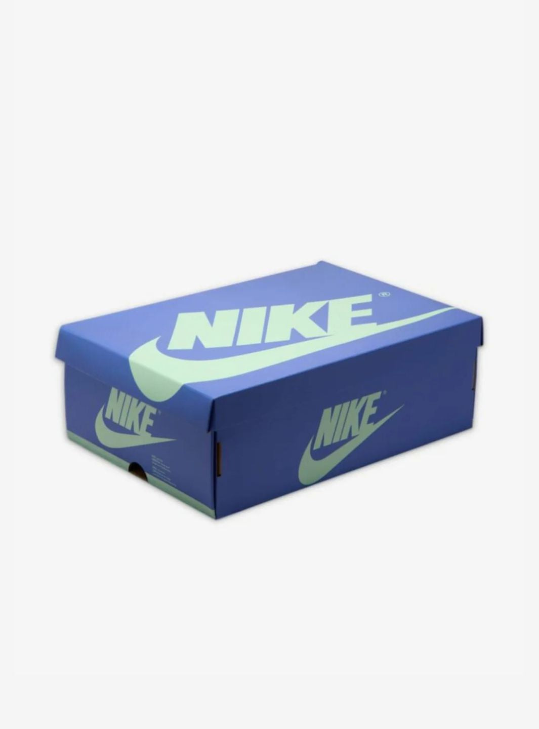 Air Jordan 1 Retro Low OG Zion Williamson Voodoo Alternate (GS)