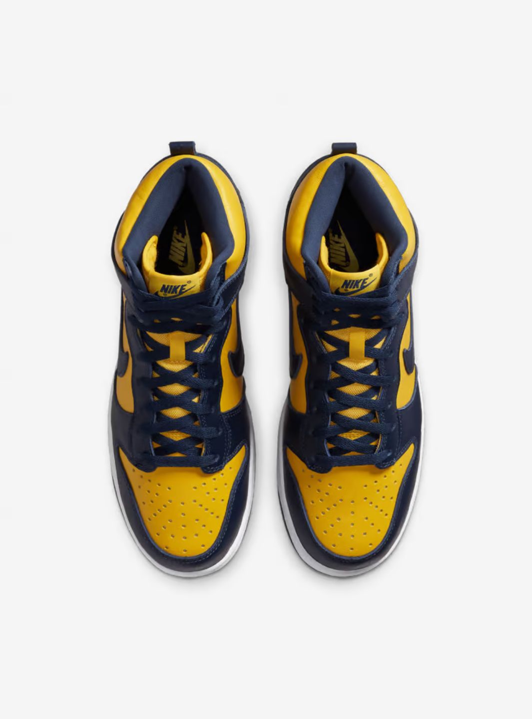 Nike Dunk High Michigan (2020)