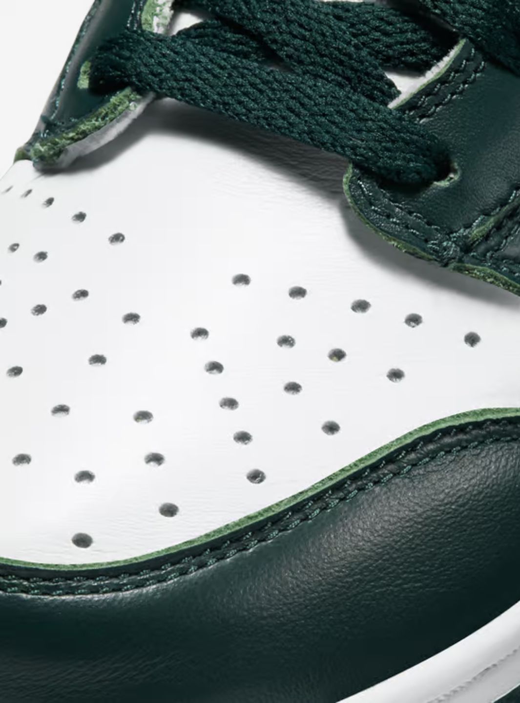 Nike Dunk High Spartan Green