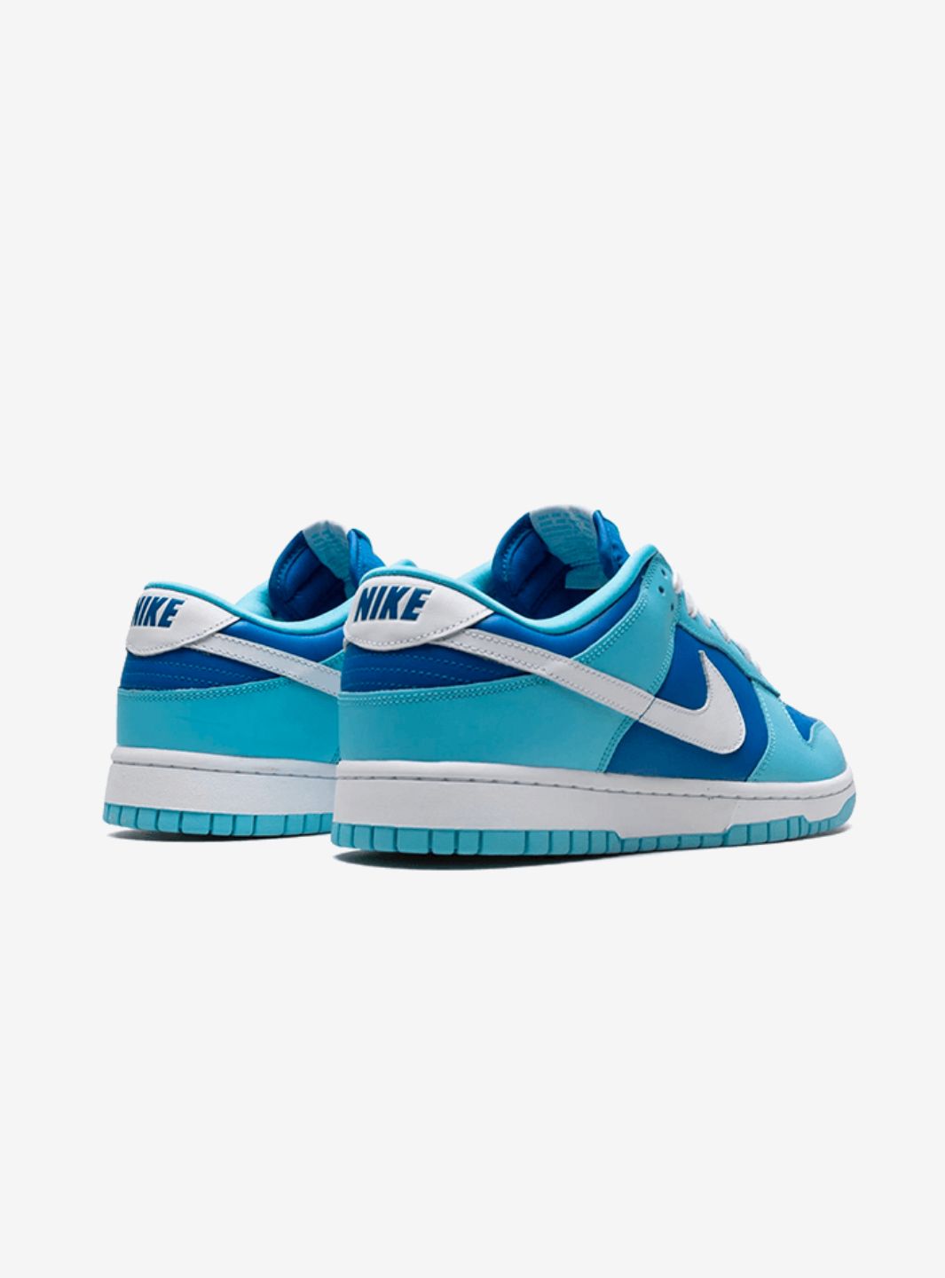 Nike Dunk Low Retro QS Argon (2022)