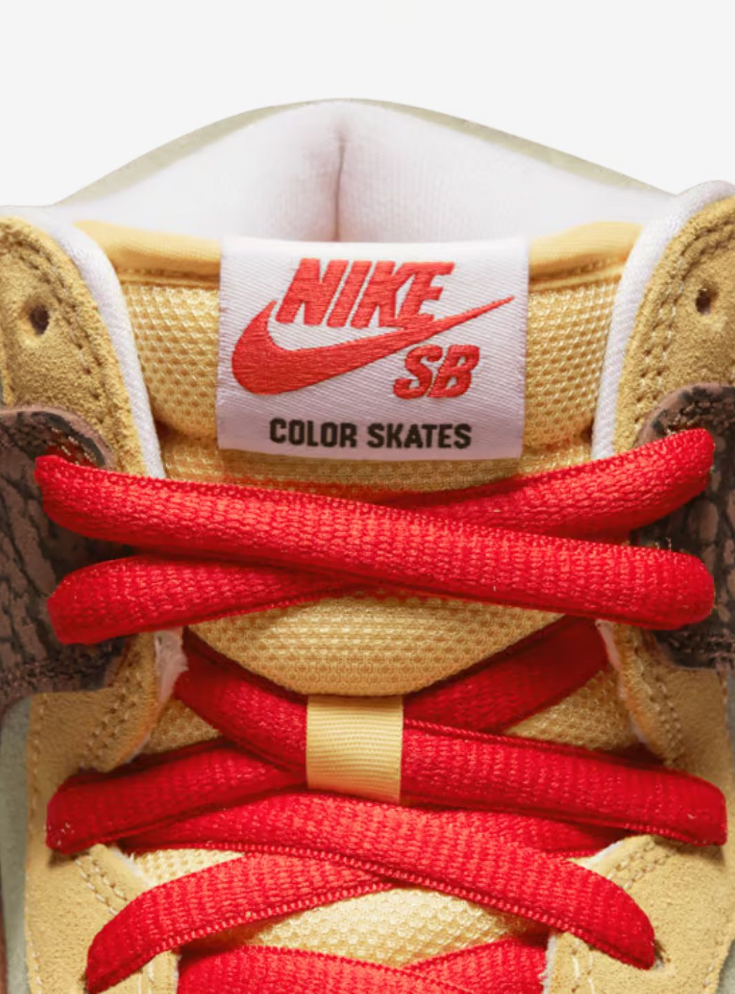 Nike SB Dunk High Color Skates Kebab and Destroy