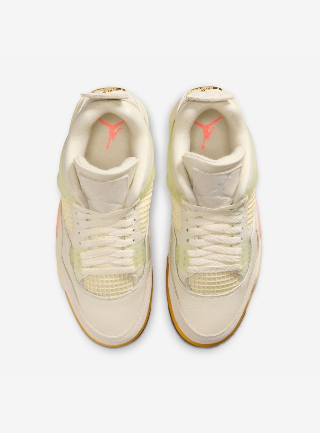 Air Jordan 4 Retro Birds of Paradise (W)