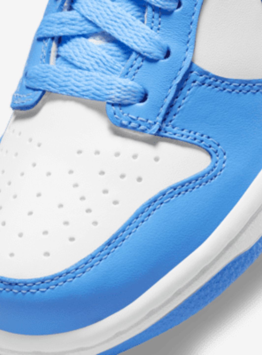 Nike Dunk Low UNC (2021)