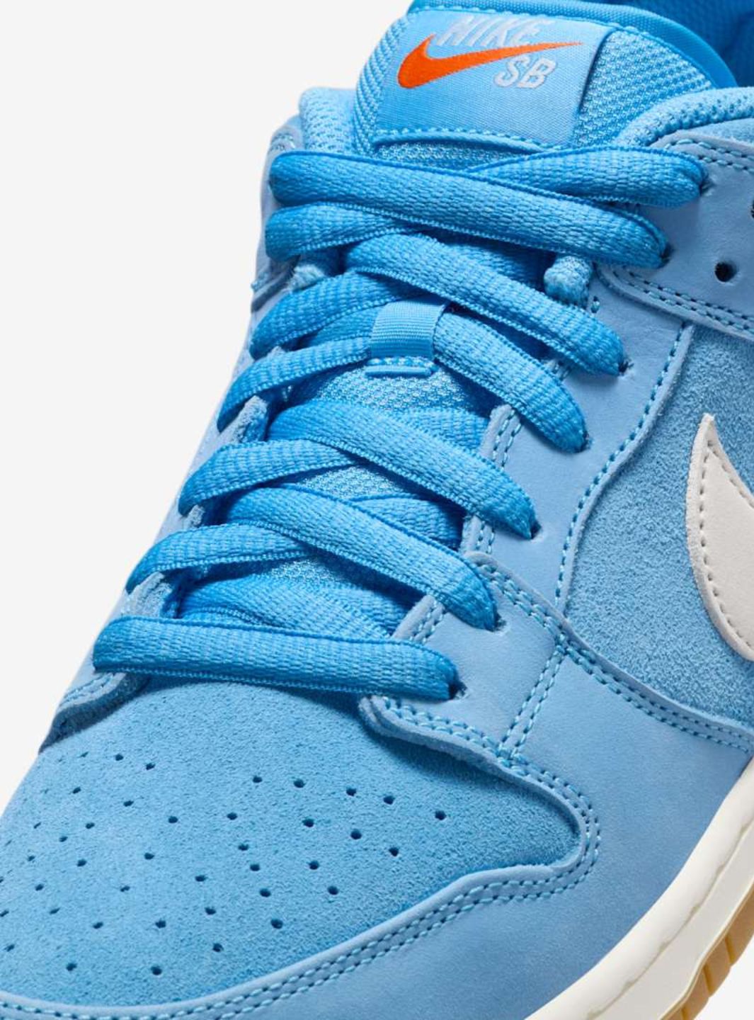 Nike SB Dunk Low Pro University Blue Gum