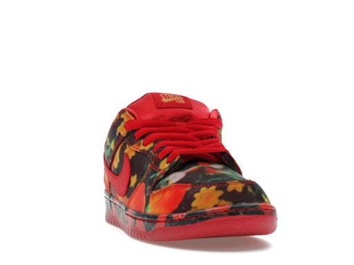 Nike SB Dunk Low The Wizard of Oz Poppy Field