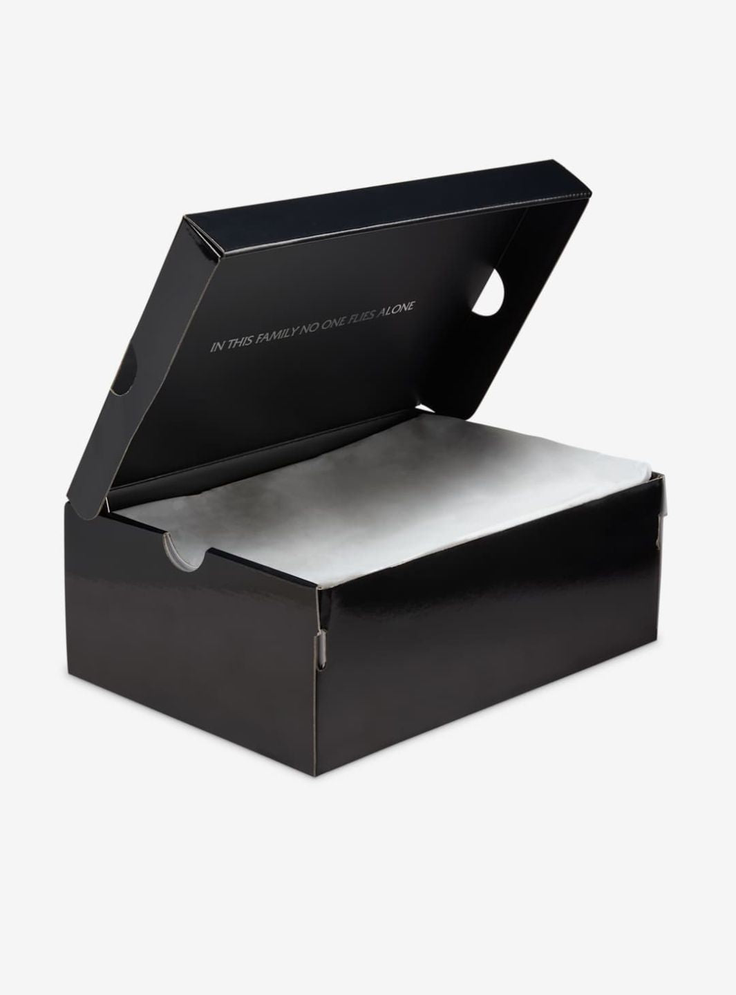 Air Jordan 5 Retro Wings (2025)