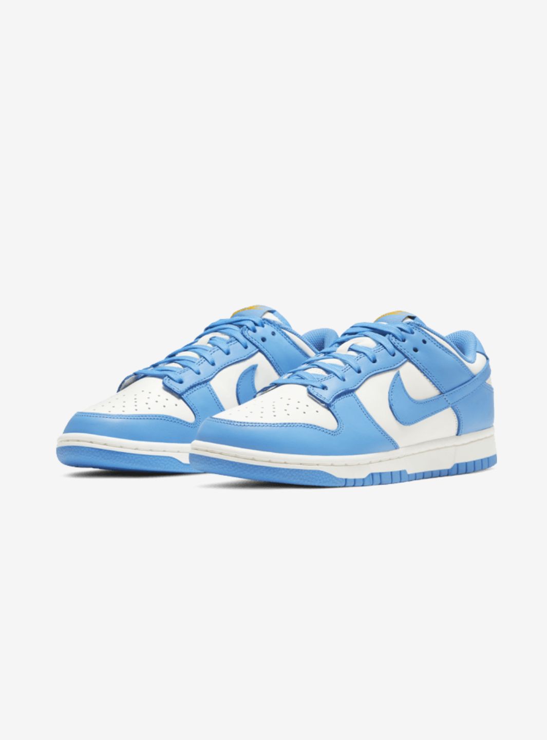 Nike Dunk Low Coast (W)