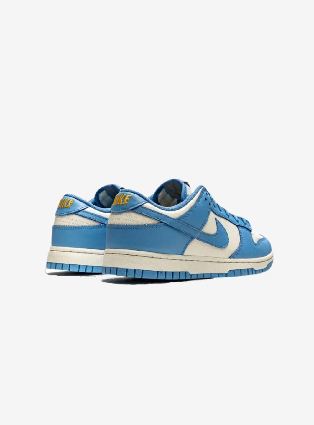 Nike Dunk Low Coast (W)