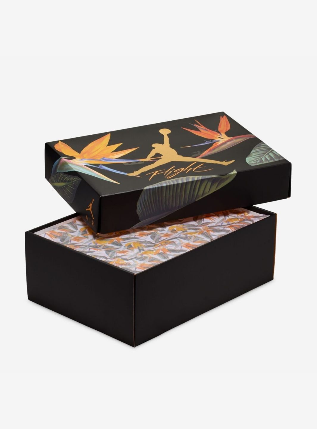 Air Jordan 4 Retro Birds of Paradise (W)