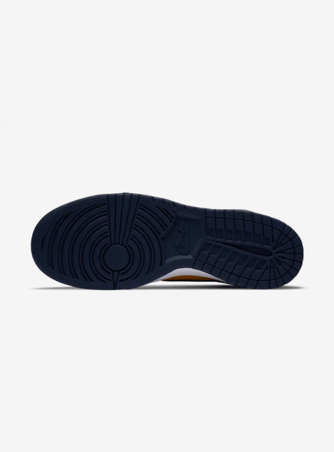 Nike Dunk High Michigan (2020)
