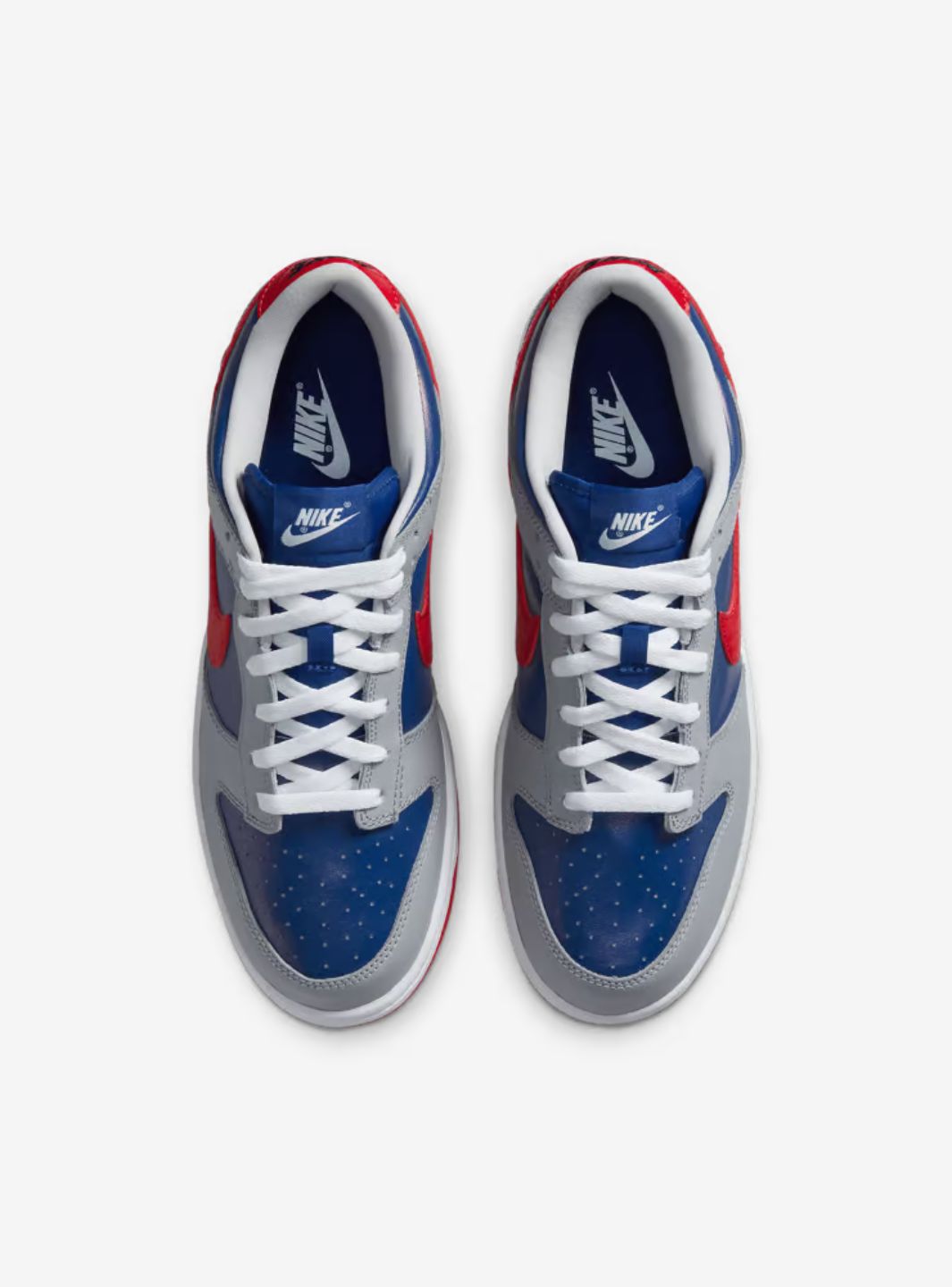 Nike Dunk Low CO.JP Samba (2020)