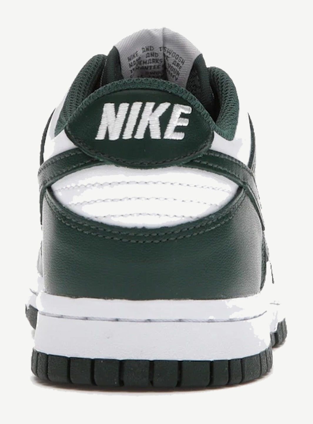 Nike Dunk Low Michigan State (GS)