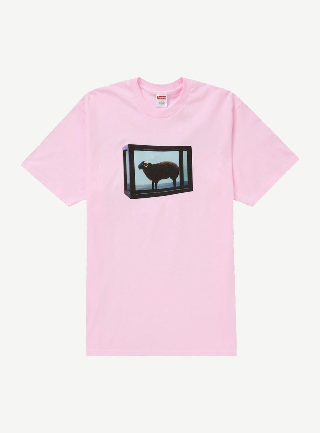 Supreme Damien Hirst Tee Light Pink